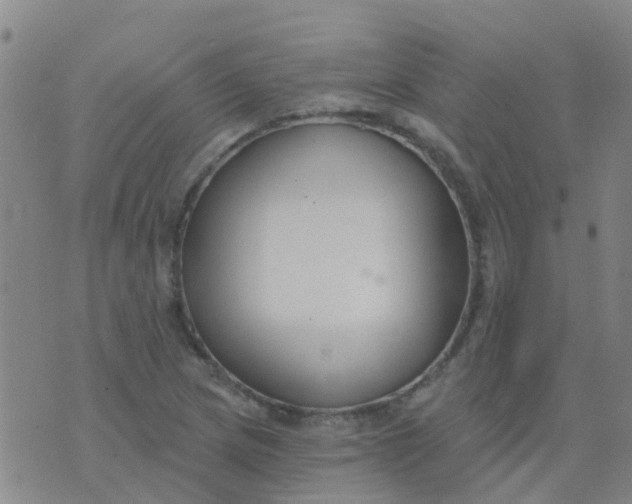 X0000074321217200609081959