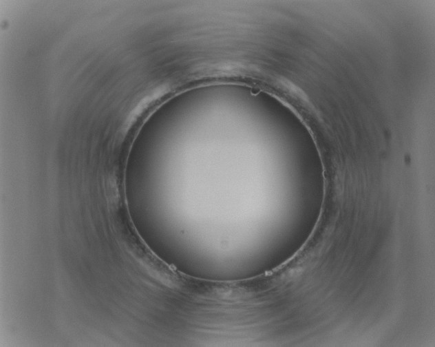 X0000074321218200609081959