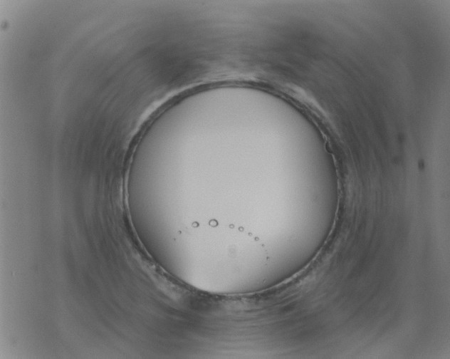 X0000074321220200609081959