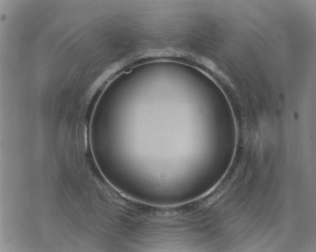 X0000074321221200609081959