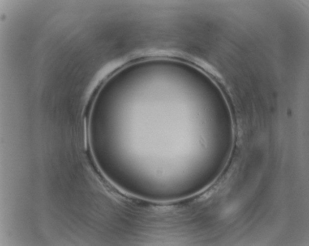 X0000074321223200609081959