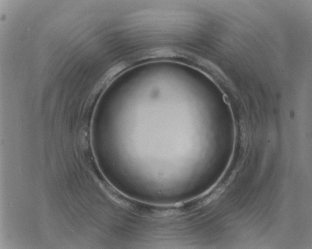 X0000074321225200609081959