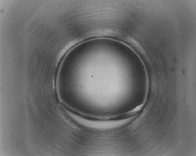 X0000074321226200609081959