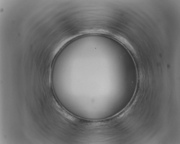 X0000074321228200609081959