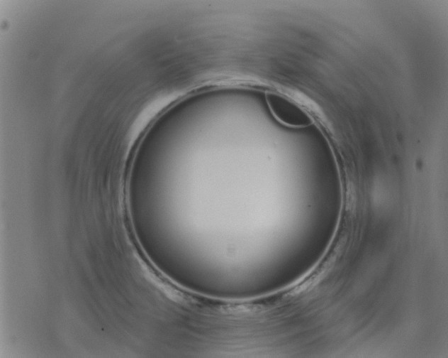 X0000074321231200609081959