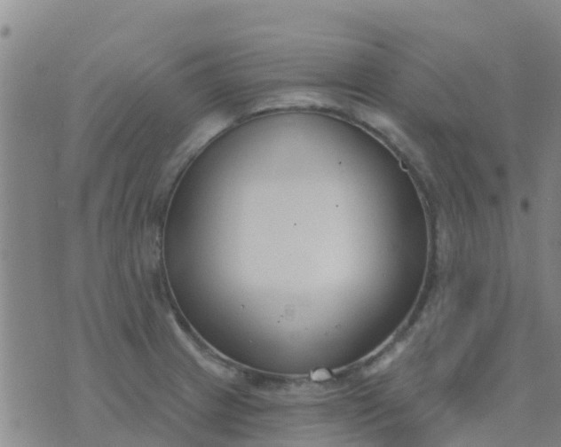 X0000074321233200609081959