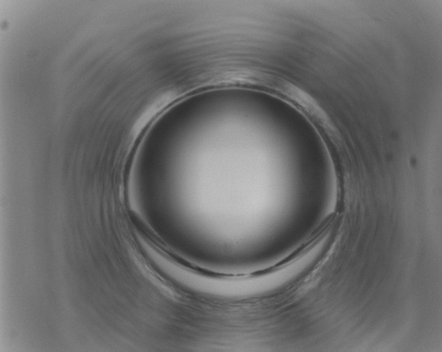 X0000074321234200609081959