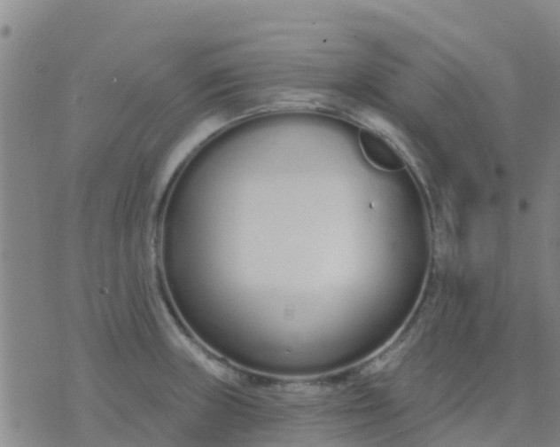 X0000074321235200609081959