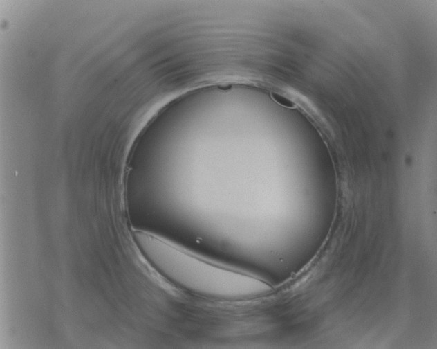 X0000074321236200609081959