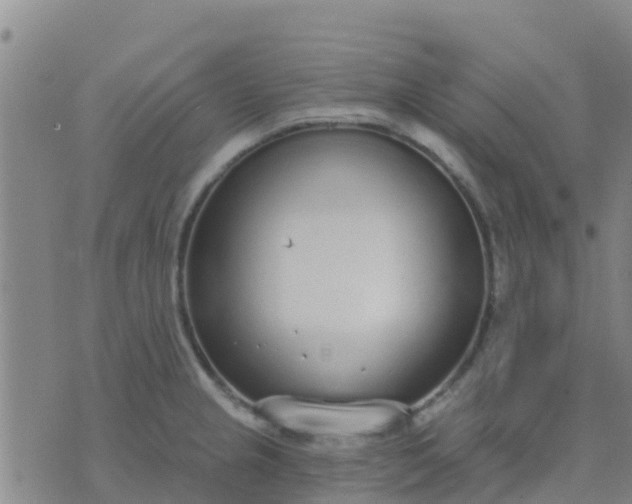 X0000074321237200609081959