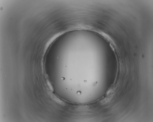 X0000074321238200609081959