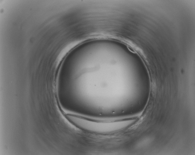 X0000074321239200609081959