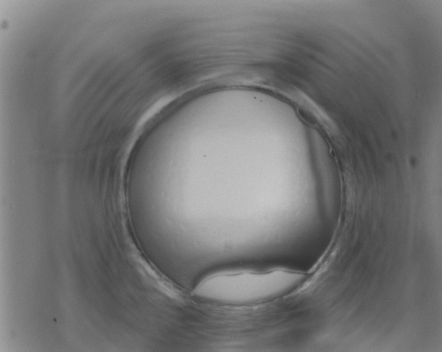 X0000074321240200609081959