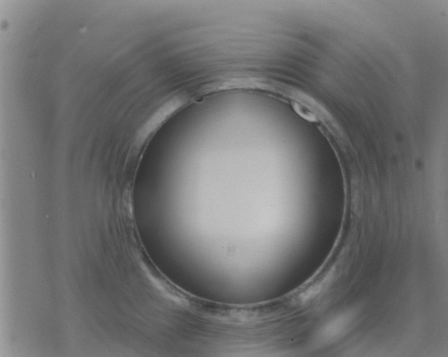 X0000074321241200609081959