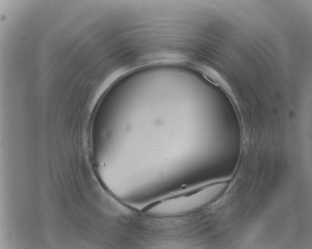 X0000074321243200609081959