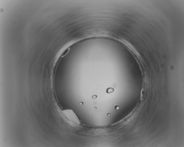 X0000074321246200609081959