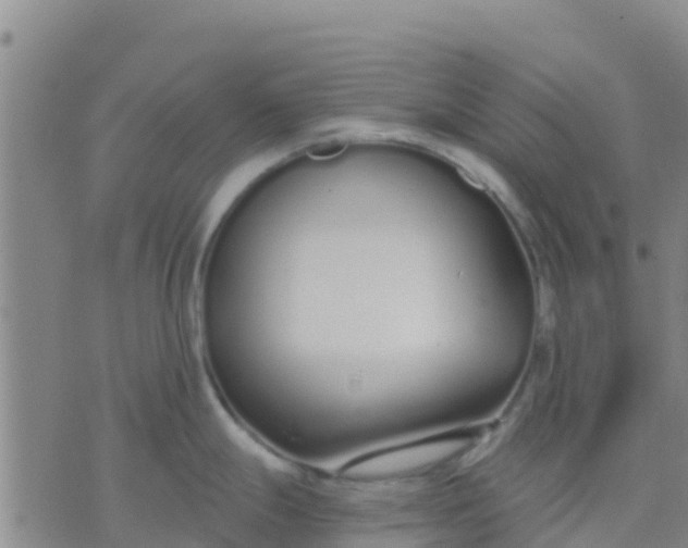 X0000074321247200609081959