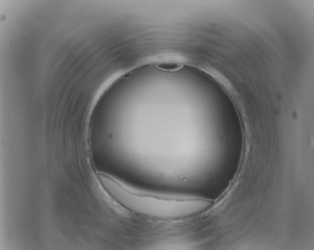 X0000074321248200609081959