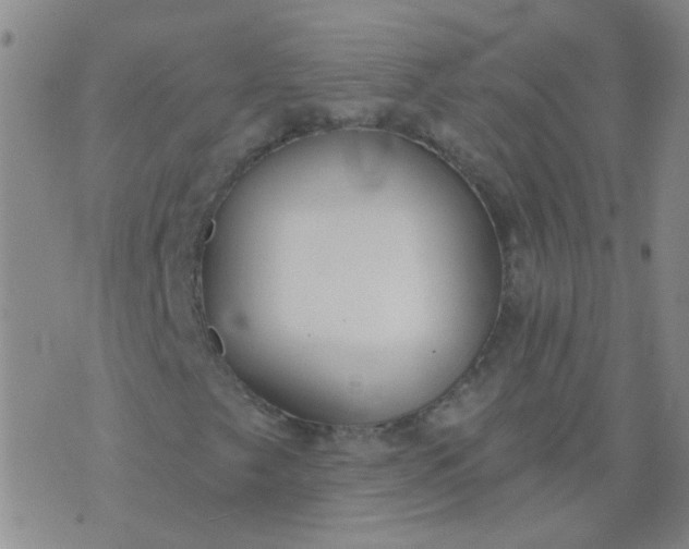 X0000074321249200609081958