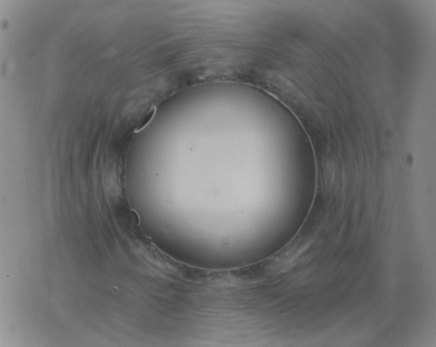 X0000074321250200609081958