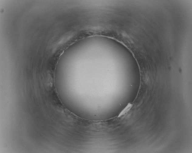 X0000074321253200609081958