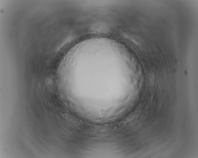 X0000074321254200609081958