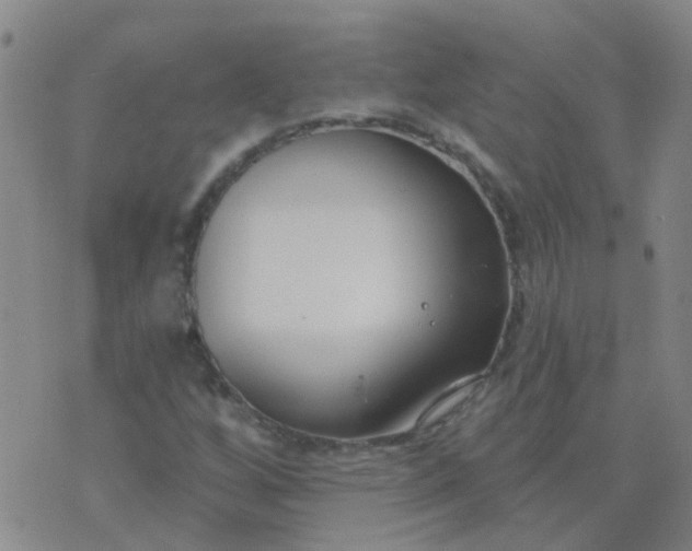 X0000074321256200609081958