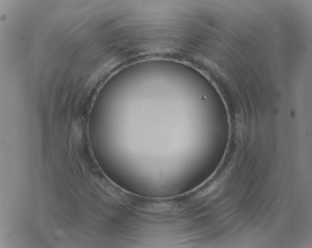 X0000074321257200609081958