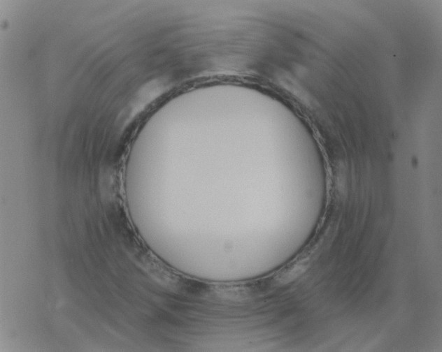 X0000074321258200609081958