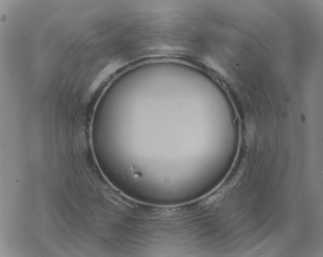 X0000074321259200609081958