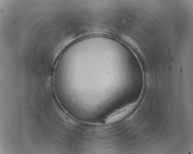 X0000074321260200609081958