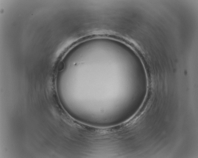 X0000074321263200609081958