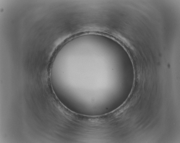 X0000074321264200609081958