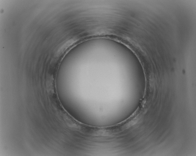 X0000074321265200609081958