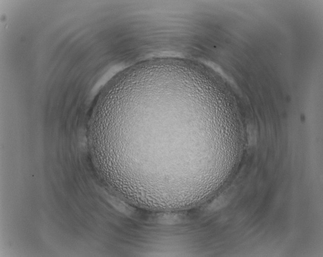 X0000074321266200609081958