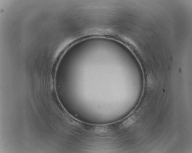 X0000074321267200609081958