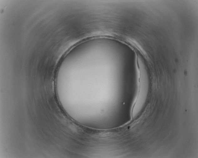 X0000074321268200609081958