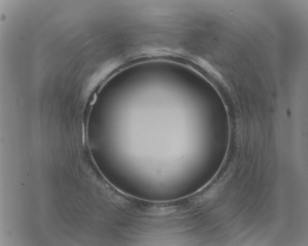 X0000074321269200609081958