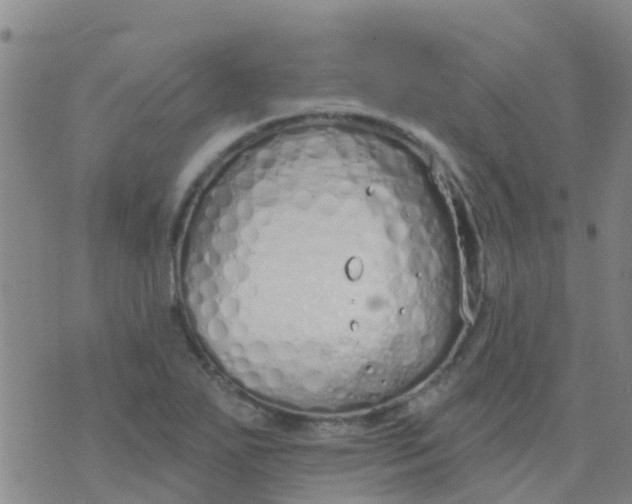 X0000074321271200609081958