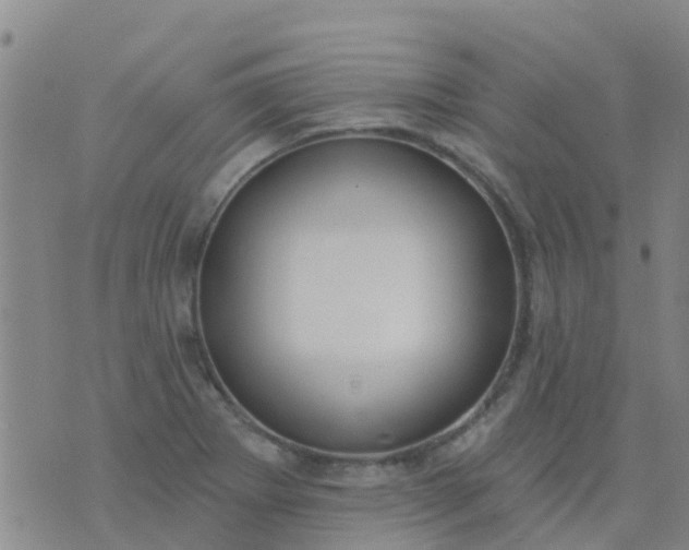 X0000074321273200609081958