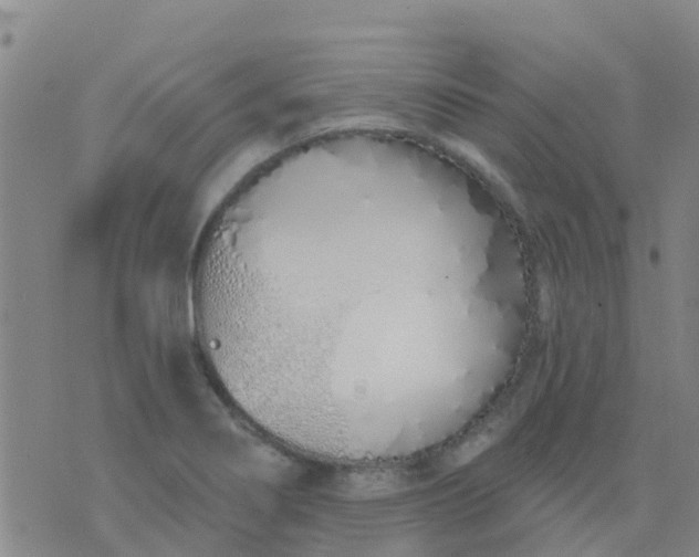 X0000074321274200609081958