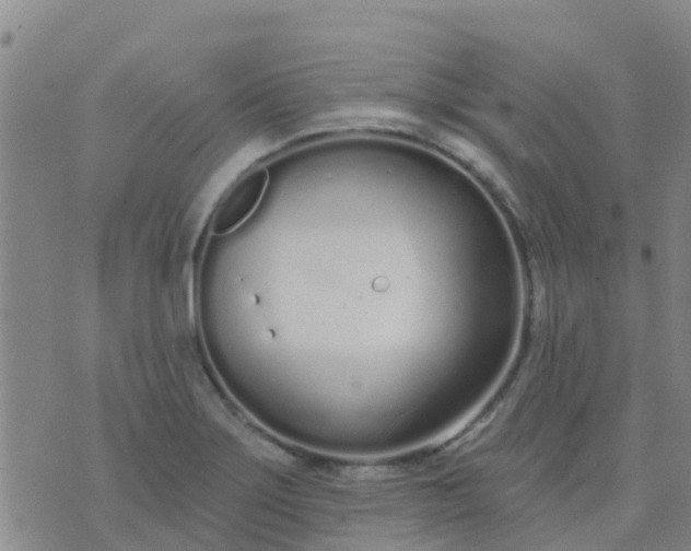 X0000074321275200609081958