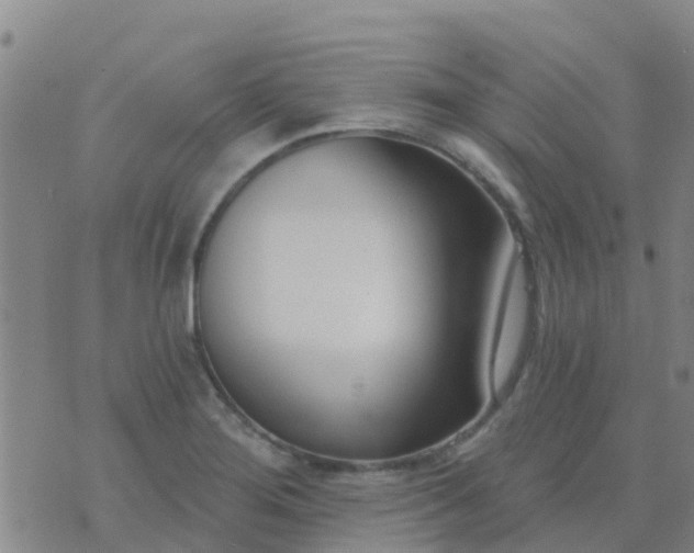 X0000074321276200609081958