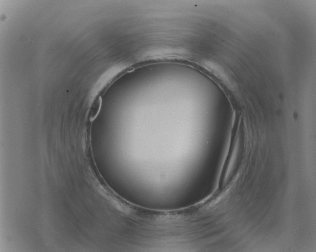 X0000074321277200609081958