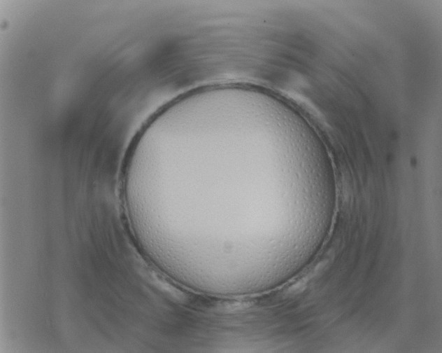 X0000074321278200609081958