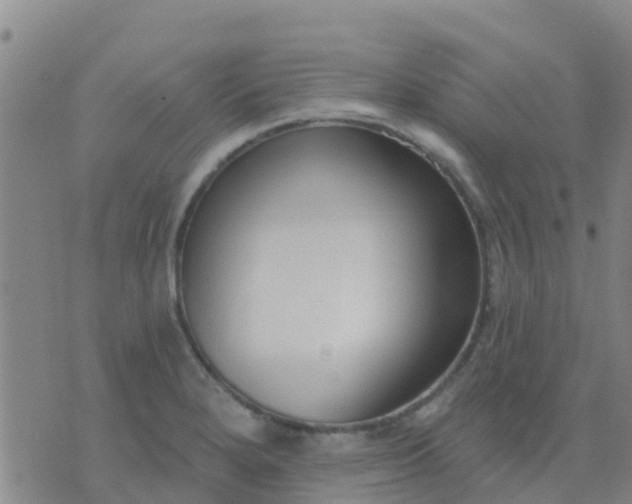 X0000074321280200609081958