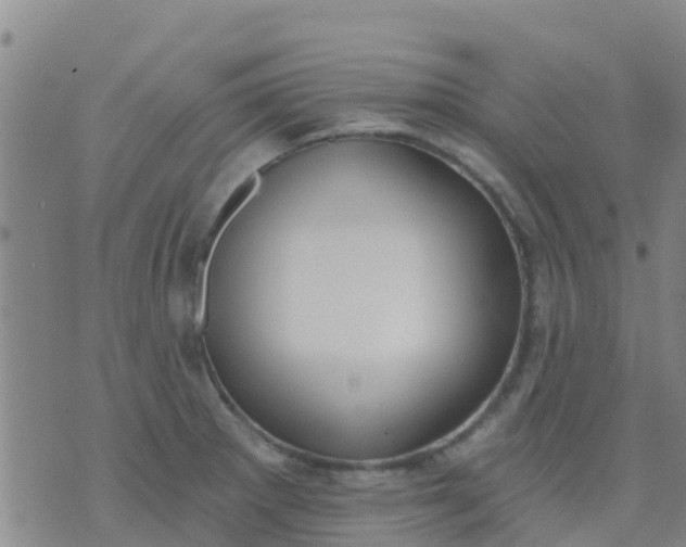 X0000074321281200609081958