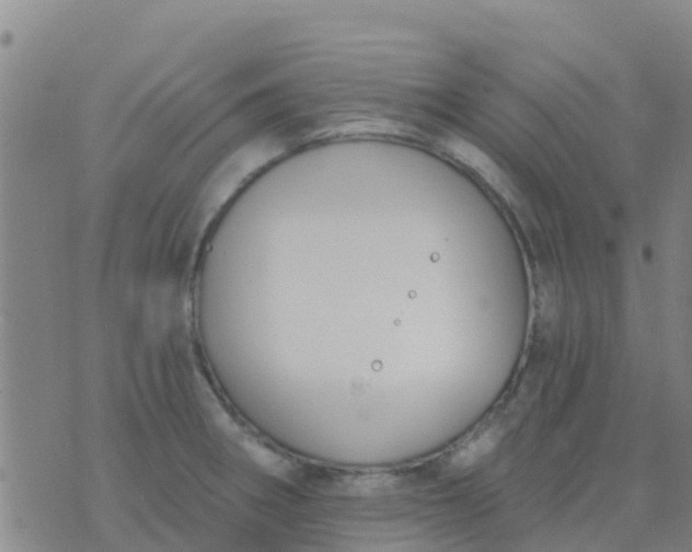 X0000074321282200609081958