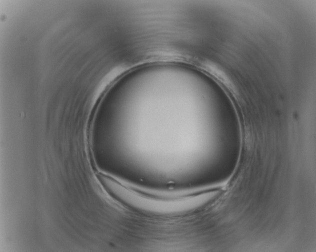 X0000074321283200609081958