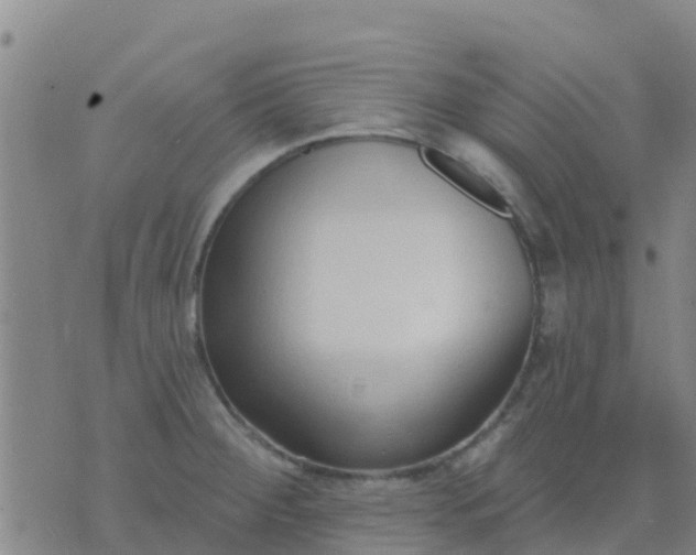 X0000074321284200609081958